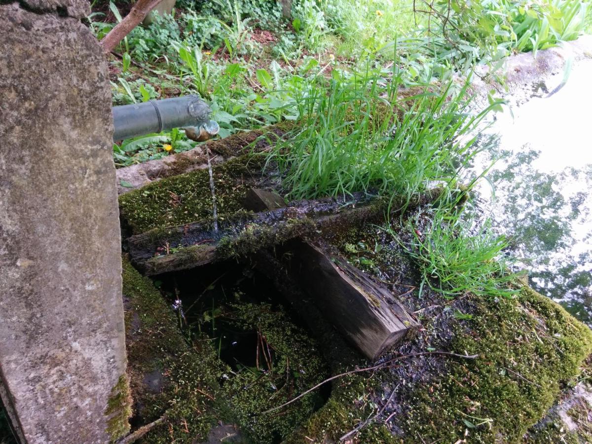 Ferme Des Deux Freres, Autrans, Vercors المظهر الخارجي الصورة