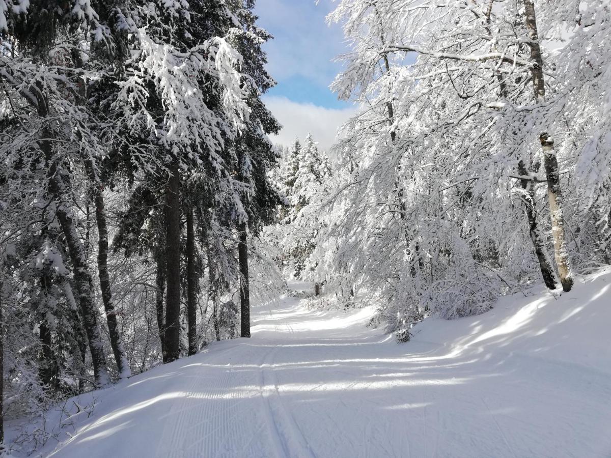 Ferme Des Deux Freres, Autrans, Vercors المظهر الخارجي الصورة