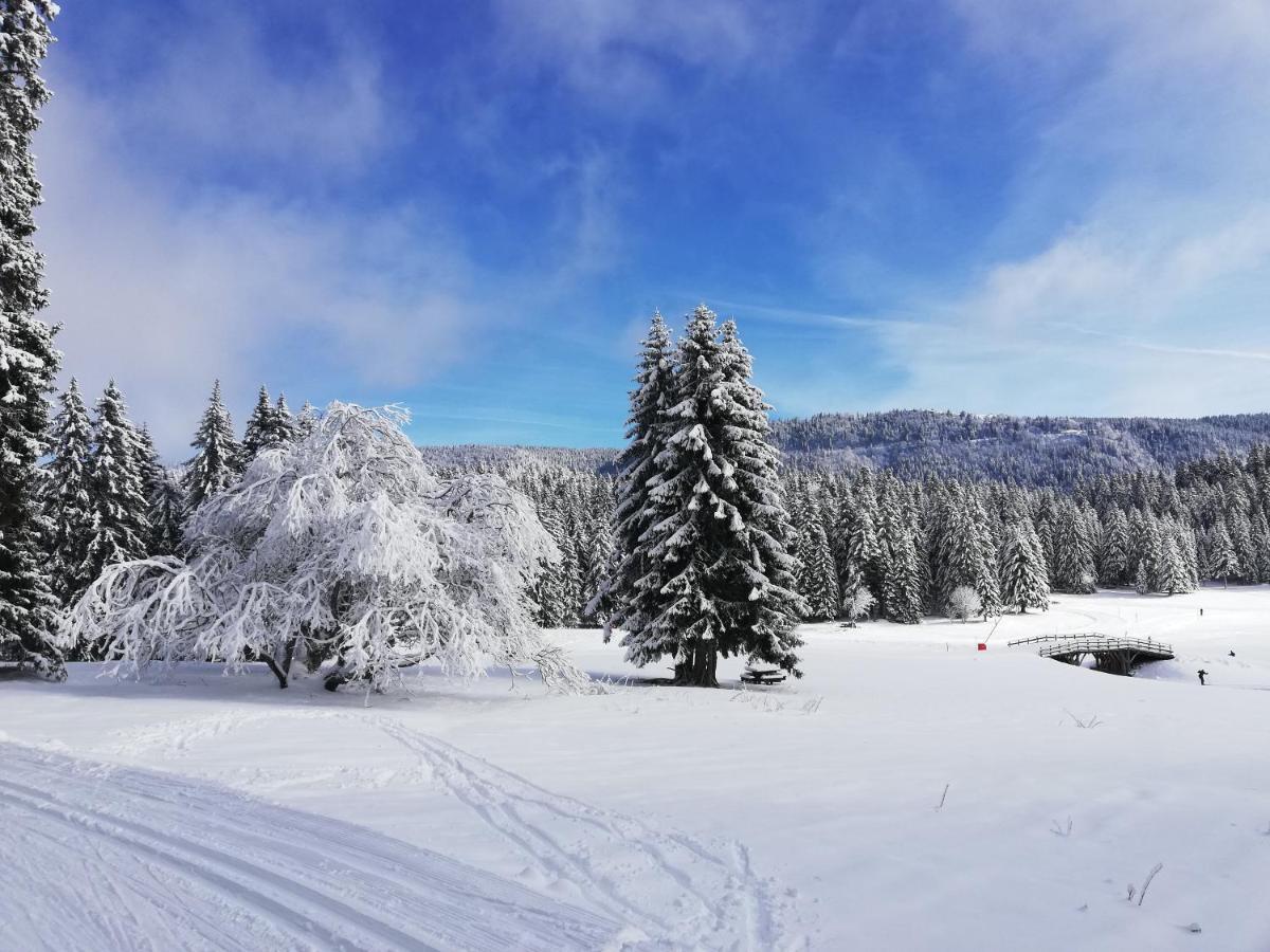 Ferme Des Deux Freres, Autrans, Vercors المظهر الخارجي الصورة