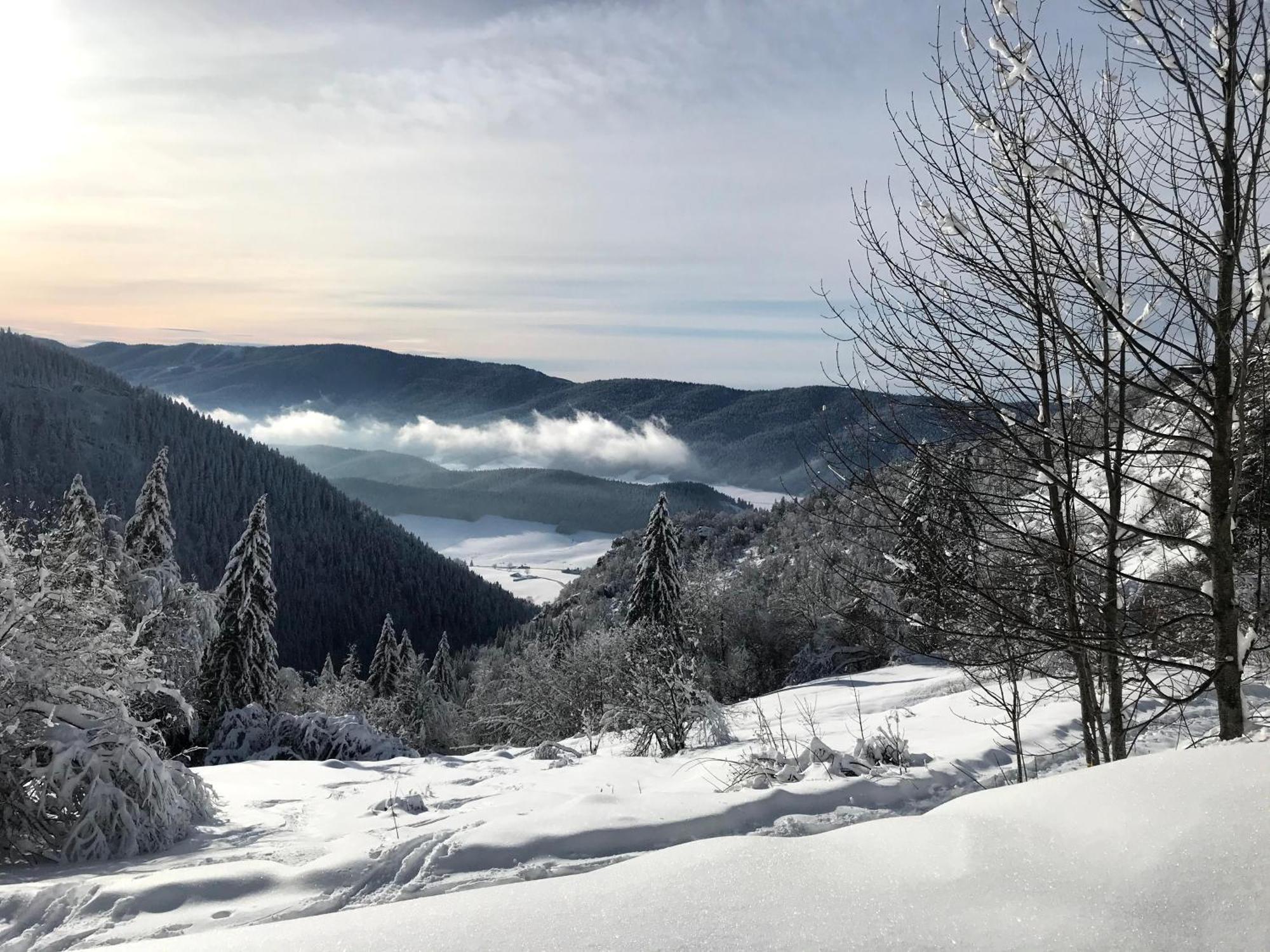 Ferme Des Deux Freres, Autrans, Vercors المظهر الخارجي الصورة