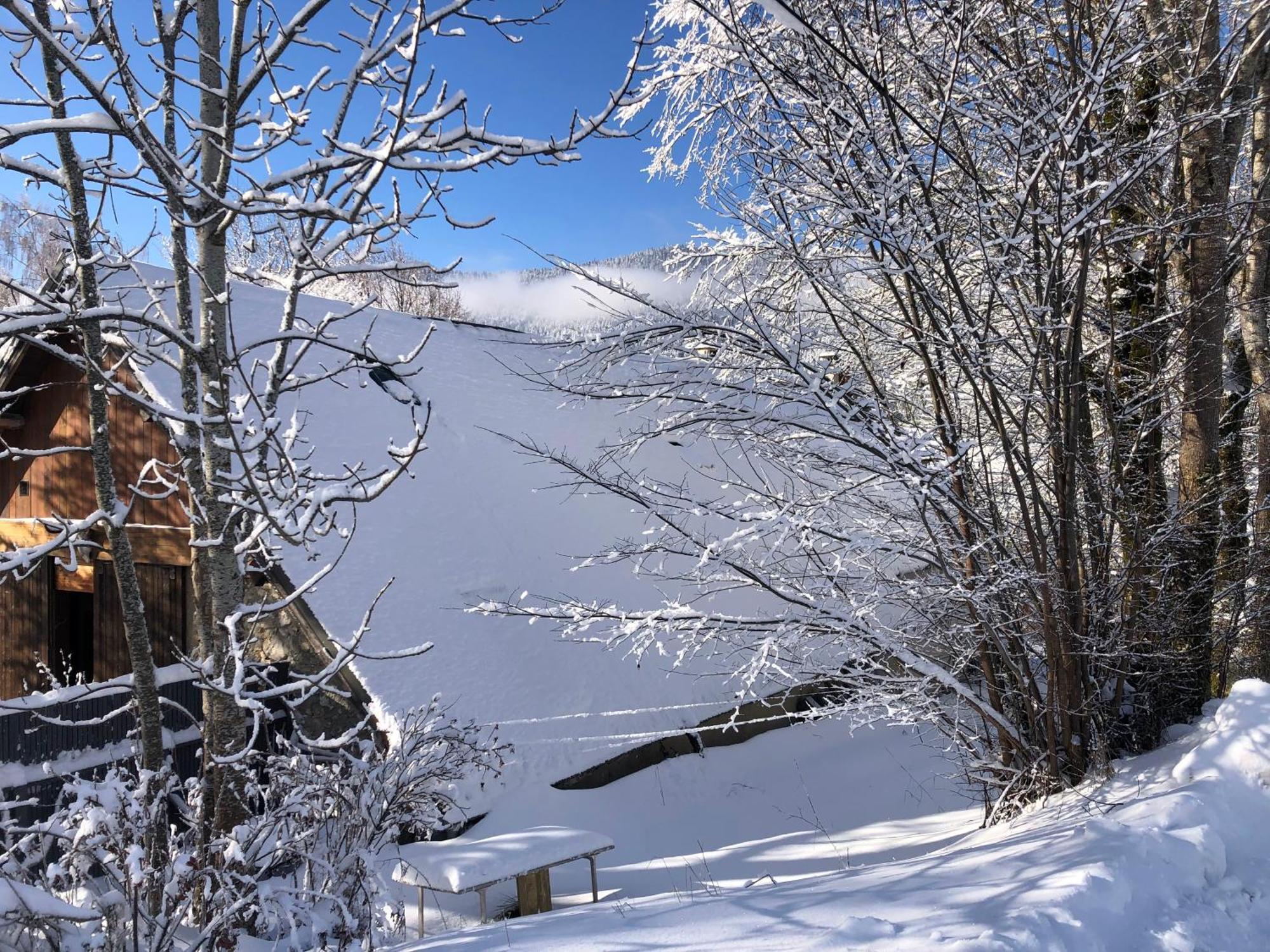 Ferme Des Deux Freres, Autrans, Vercors المظهر الخارجي الصورة